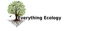 Everything Ecology Ltd